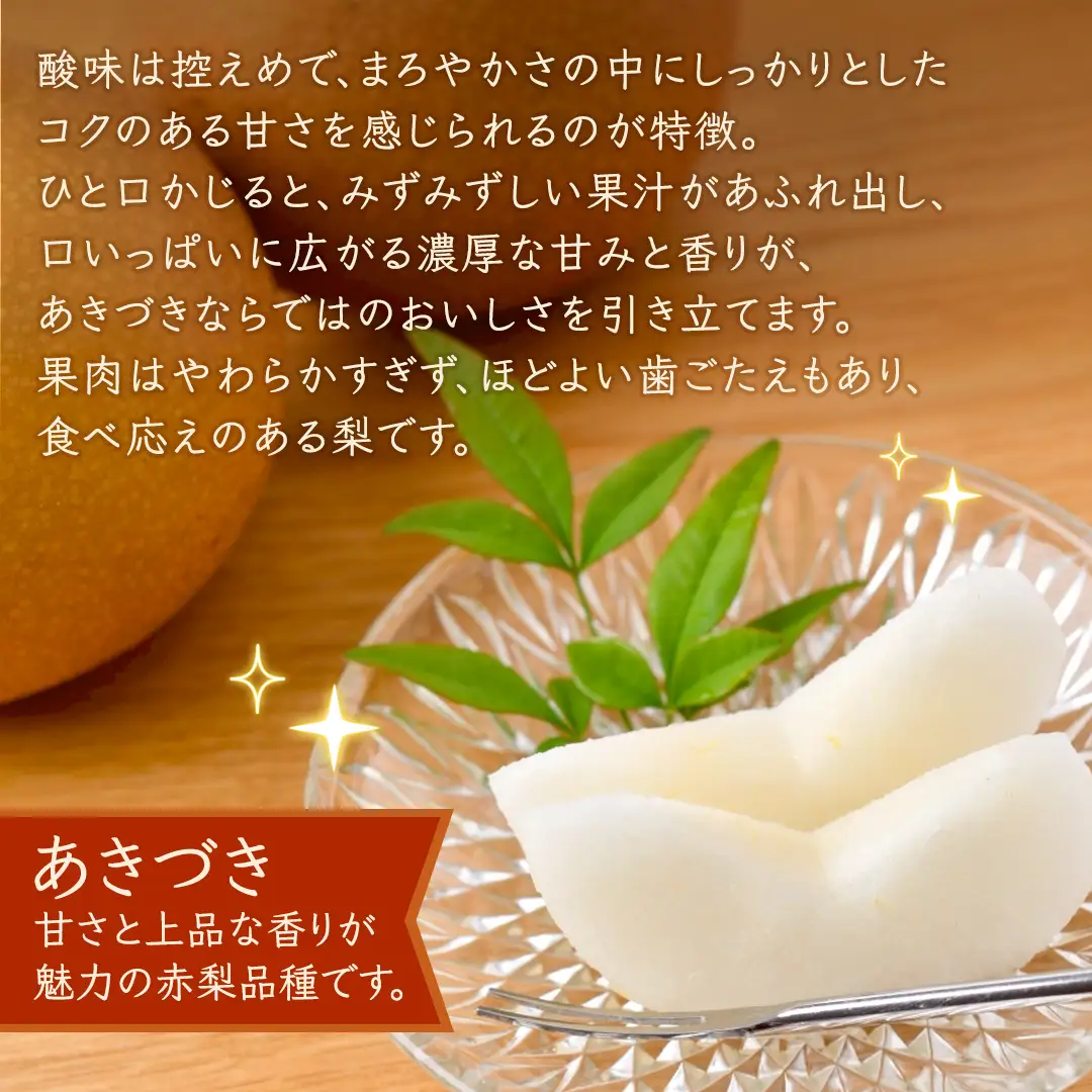 あきづき 梨 約3kg 【2026年10月より発送開始】（茨城県共通返礼品 [梨]：大子町産） 