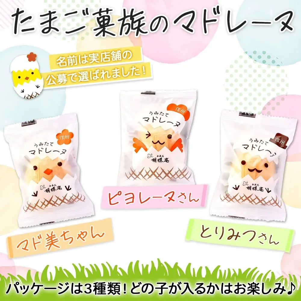 胡蝶庵　うみたてマドレーヌ　20個セット