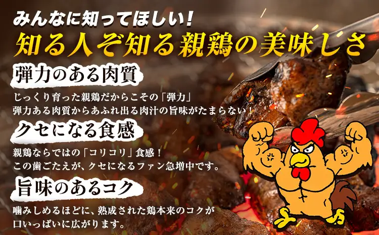 親鶏 むね肉 600g 200g× 3個 親鳥