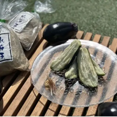 水茄子(生)5個・水茄子糠漬け(5個)セット【配送不可地域：離島・北海道・沖縄県】【1734582】