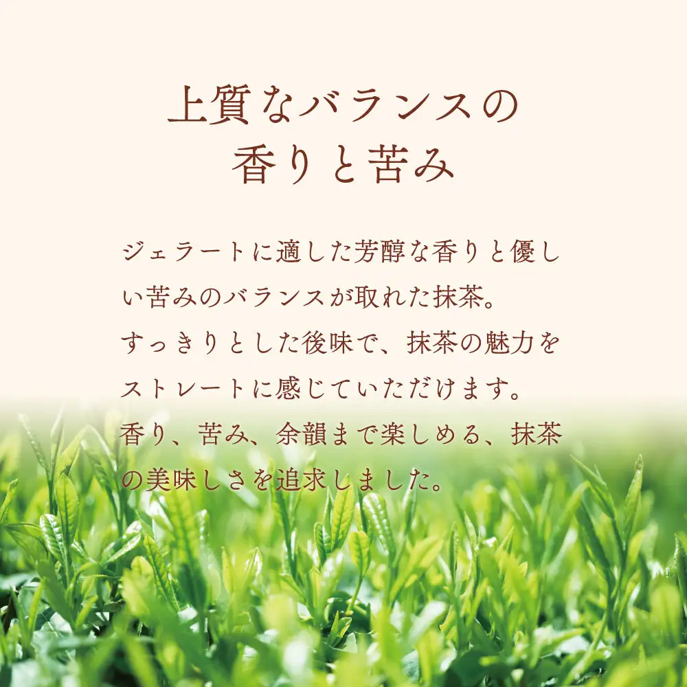 ジェラート ジェラテリア TiG（ティグ）イタリアンジェラート 京抹茶 2000ml (2L) 大容量 無着色 無香料 秋田 美郷町