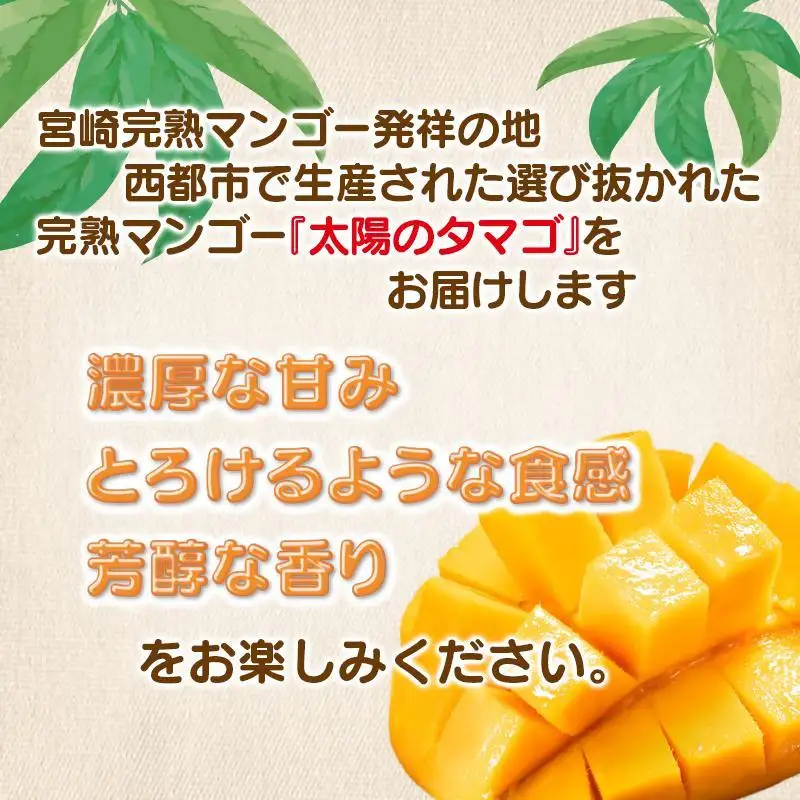 【お中元ギフト】最高級ブランド『太陽のタマゴ』2L×2個【糖度15度以上】宮崎県西都市産完熟マンゴー＜68-1a＞宮崎マンゴー 果物 フルーツ 甘い