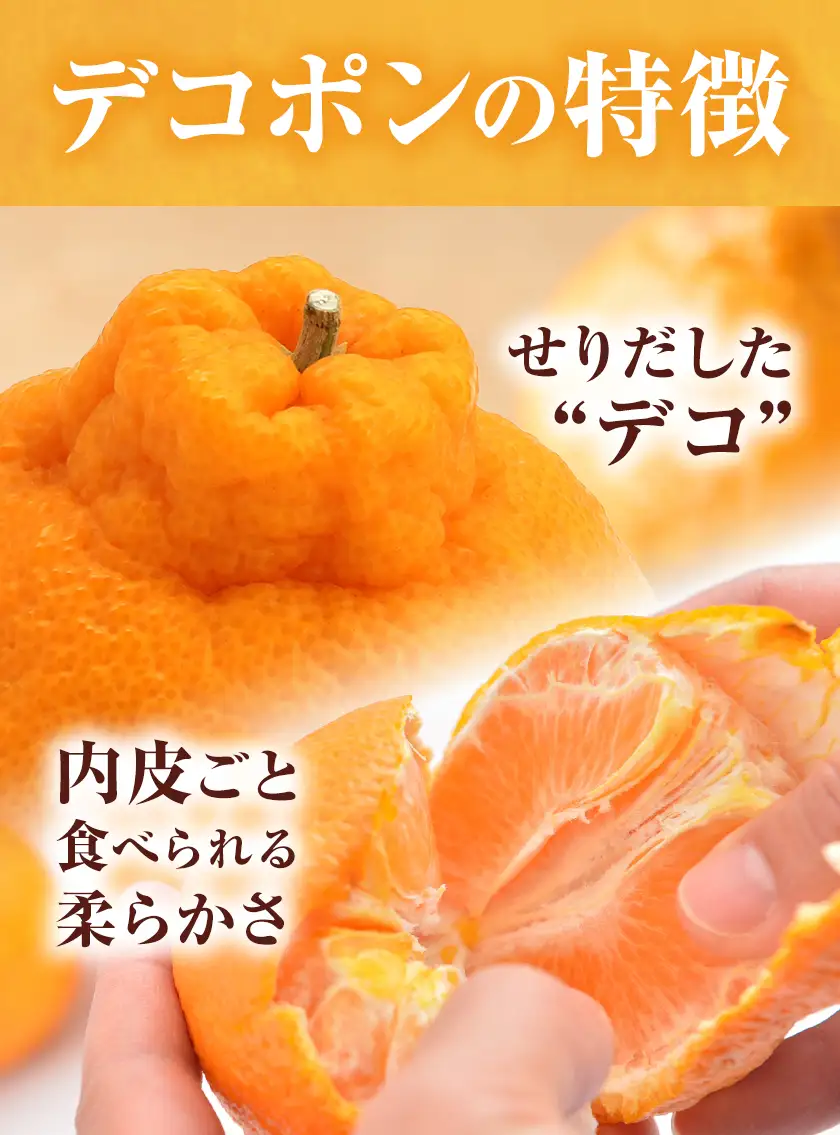 デコポン 3㎏ 日本フルーツ株式会社 デコポン