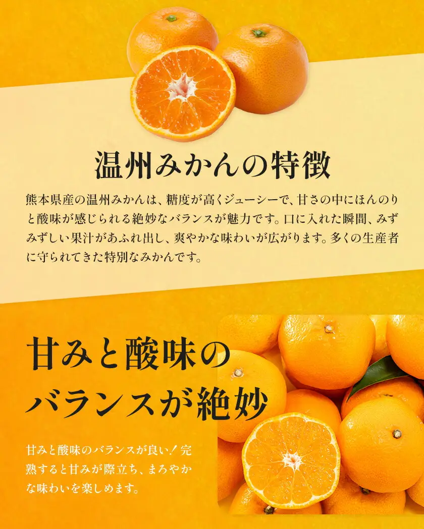 温州みかん 8㎏ 日本フルーツ株式会社 ミカン