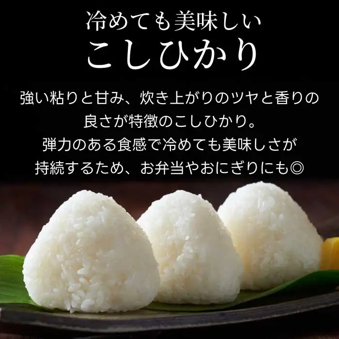 キューブほたる米「大和の里」こしひかり 300g×6個 精米 白米 米 こめ プレゼント 手軽 真空パック 066017