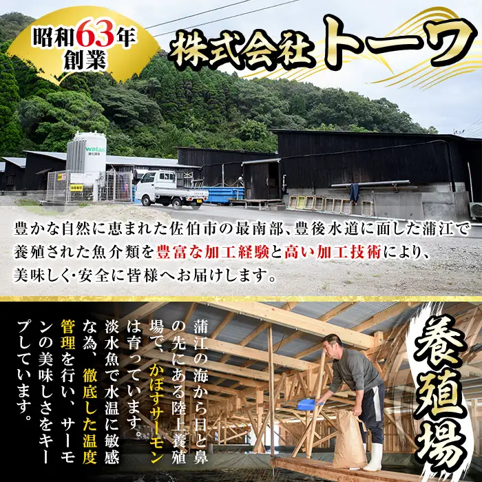 ＜期間限定＞ 大分 かぼすサーモン フィレ(350g以上) 魚 かぼす サーモン 刺身 冷凍 養殖 国産 個包装 大分県 佐伯市【EA32】【トーワ】