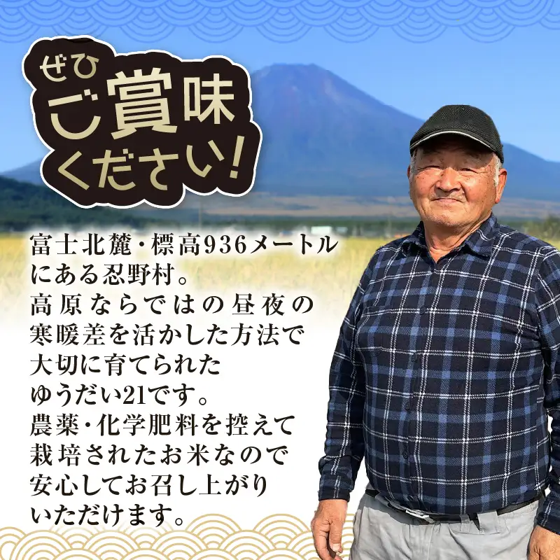 【令和8年産米】【新米先行予約】【数量限定】忍野村産ゆうだい２１（10kg）