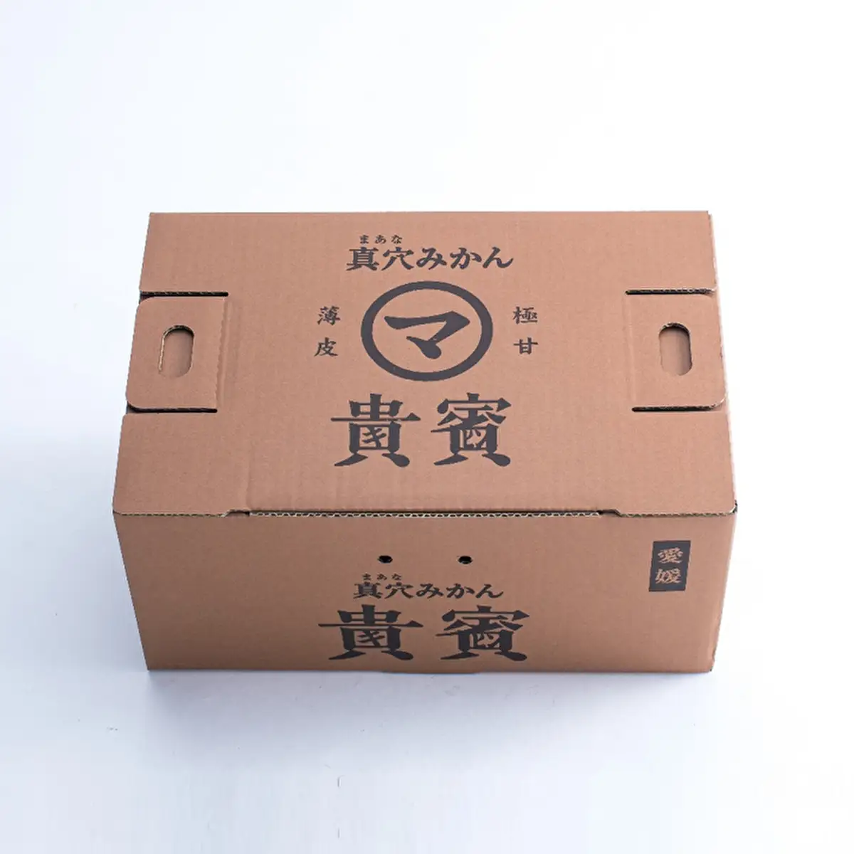 【先行受付】真穴みかん【貴賓】小粒（約3㎏）【D44-3】 YWTAH003 