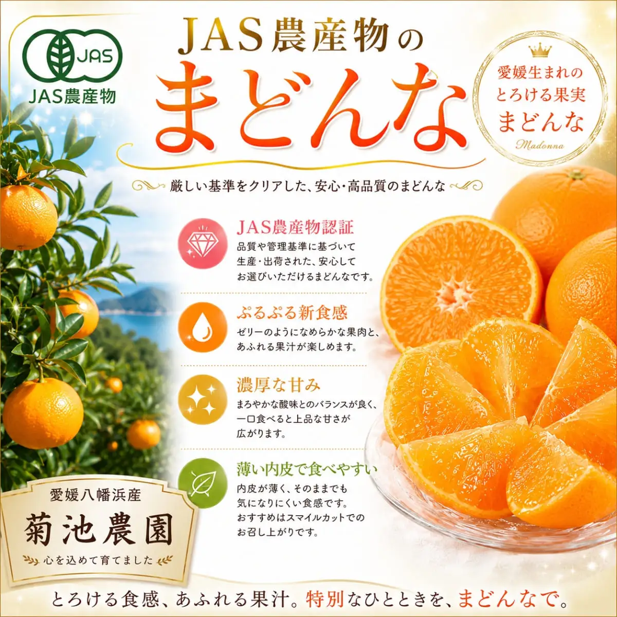 【先行受付】【JAS認証有機栽培】こんな柑橘初めてプルプル新食感「まどんな」約3kg【D39-25】【1044609】 YWTF012