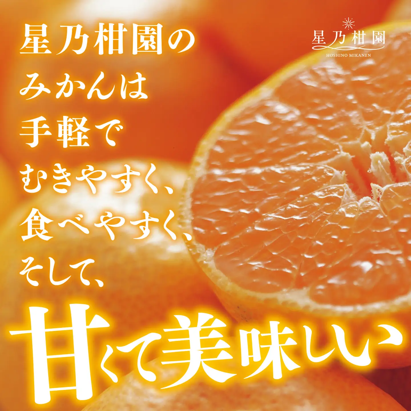 【先行受付】【三つ星ブランド】星乃みかん(4.5kg)【B45-90】【1582444】 YWTAZ052