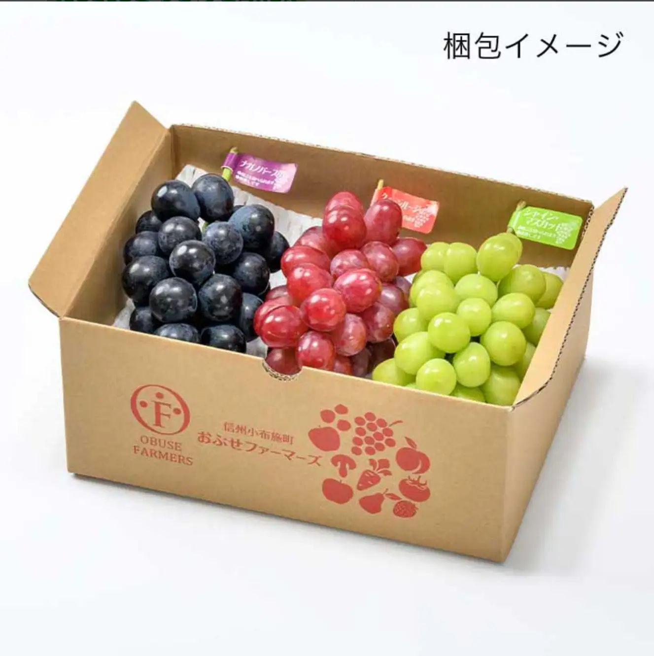 冬に食べるぶどうぶどう3姉妹® シャインマスカット ＆ ナガノパープル ＆ クイーンルージュ® 詰合せ 各1房 約1.5kg [おぶせファーマーズ] 数量限定 【2026年11月中旬～12月中旬発送】 [F-555]