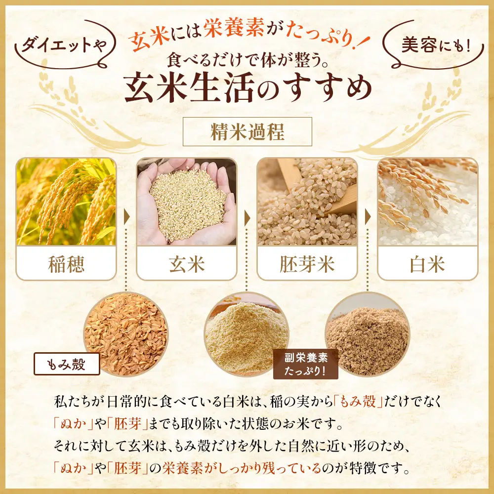【令和8年度産】 食味ランキング「特A」ななつぼし玄米定期便 (10kg×2回)【11026】
