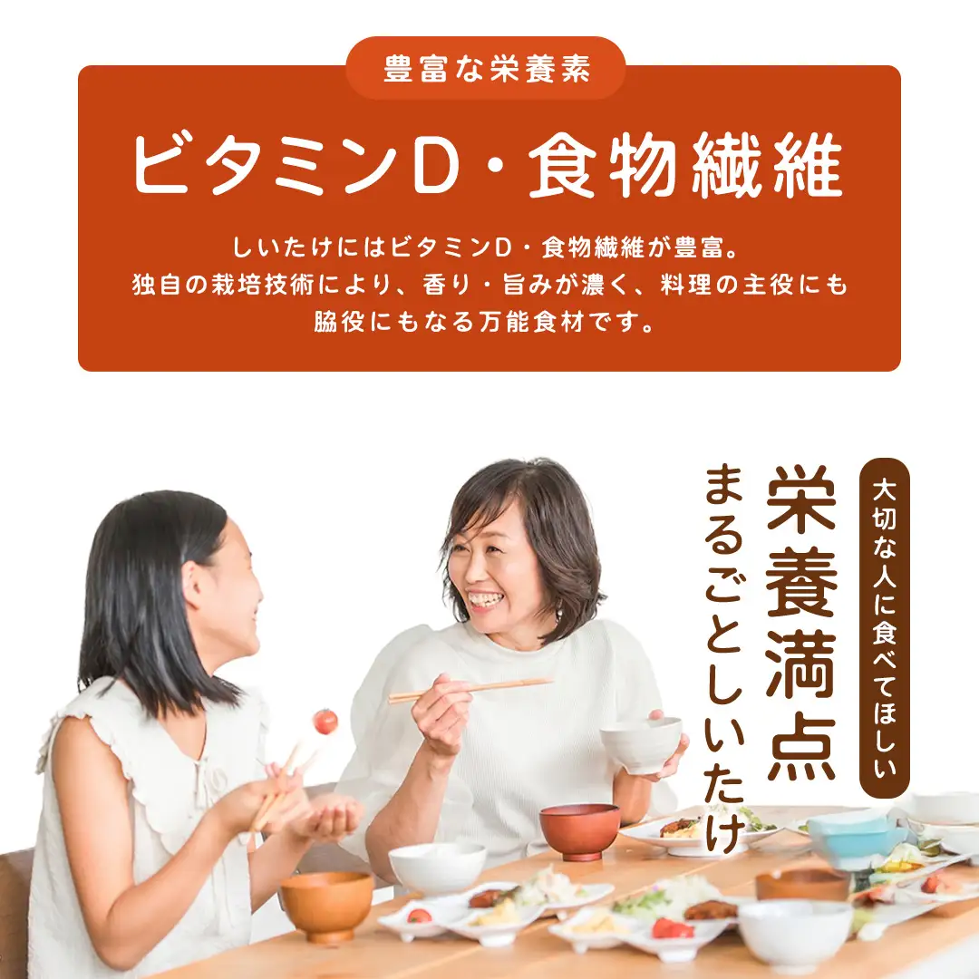 産地直送！軸まで美味しい『軸王しいたけ』特大サイズ 約500g (約10〜12個)
