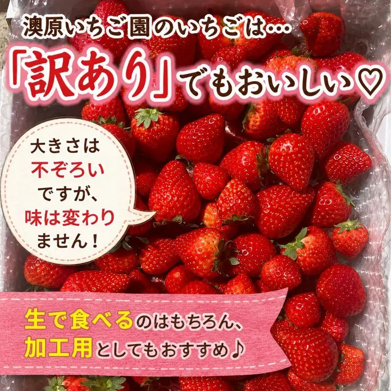訳あり 粒不揃い とちあいか 320g (160g×2P) 【2027年先行予約】 いちご 苺 | 栃木県 矢板市 澳原いちご農園