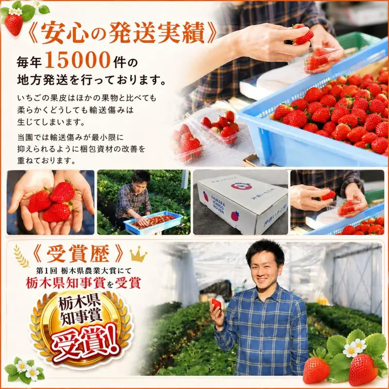 訳あり 粒不揃い とちおとめ 320g (160g×2P) 【2027年先行予約】 いちご 苺 | 栃木県 矢板市 澳原いちご農園