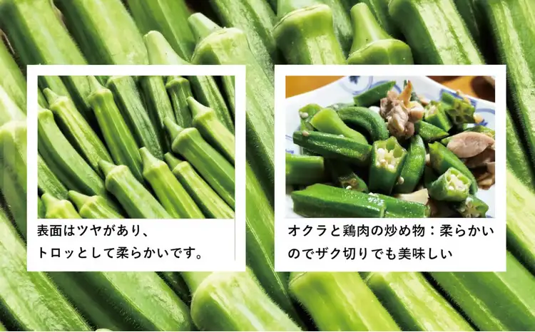 トロッとおいしいオクラ＜80本、約1000g＞　80P3206【ひない渡辺農園しどけ村】