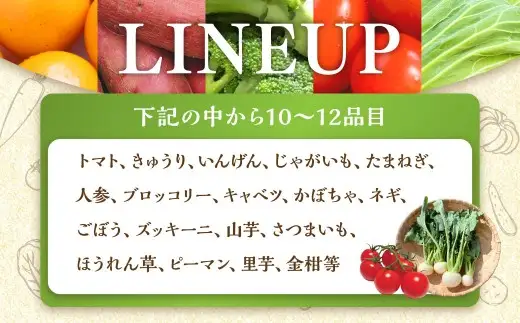 鹿児島県産 季節のお野菜詰め合わせ 10～12品目 野菜 詰め合わせ 新鮮 旬 新鮮野菜 AS-2258