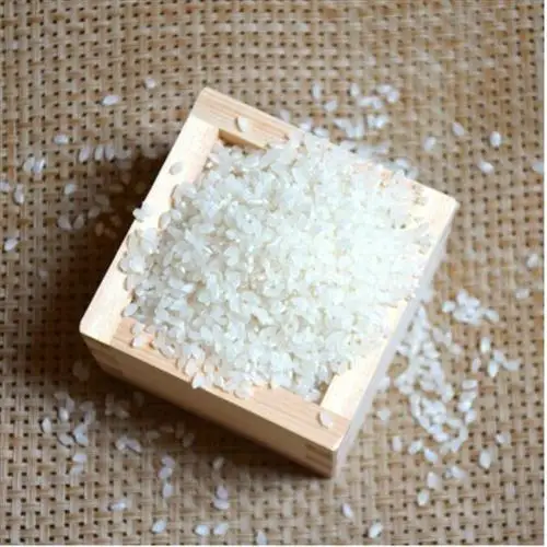 栽培期間中農薬・化学肥料不使用　こしひかり　白米 5kg×4袋(20kg)【1735140】