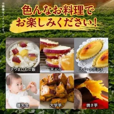 【有機JAS認定】さつまいも「紅はるか」3kg【1726194】