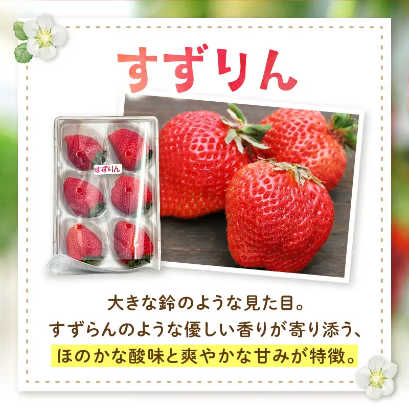 S186-001-03_【3月～5月発送】朝摘み完熟イチゴセット（マロンベリー・すずりん）