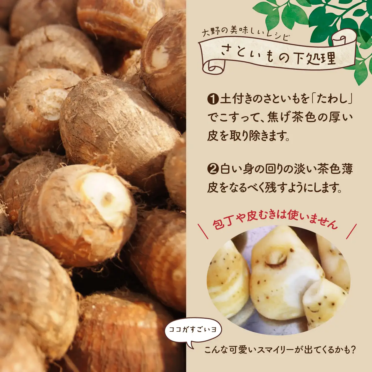 【先行予約】【11月発送分】上庄産さといも3kg 有機肥料配合 減農薬栽培 [A-005007_01]