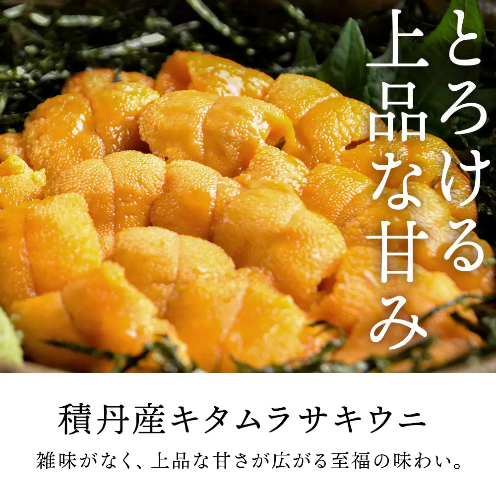 【2027年夏発送分】ムラサキウニ100g×1パック