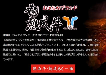 おきなわブランド【超熟成牛】サーロイン