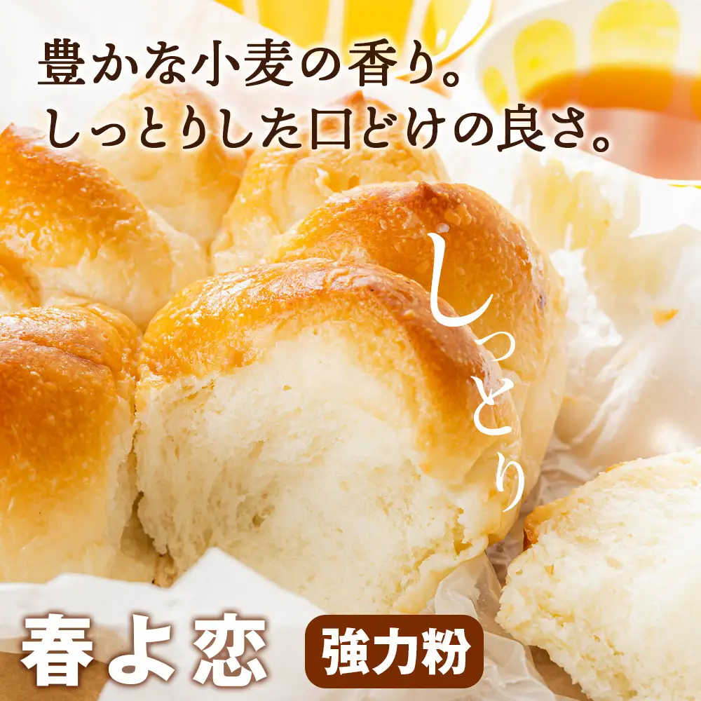竹内さんちの小麦粉食べ比べ！【春よ恋・ゆめちから 各2㎏×各1袋】準強力粉 強力粉 保存に便利なチャック付袋！