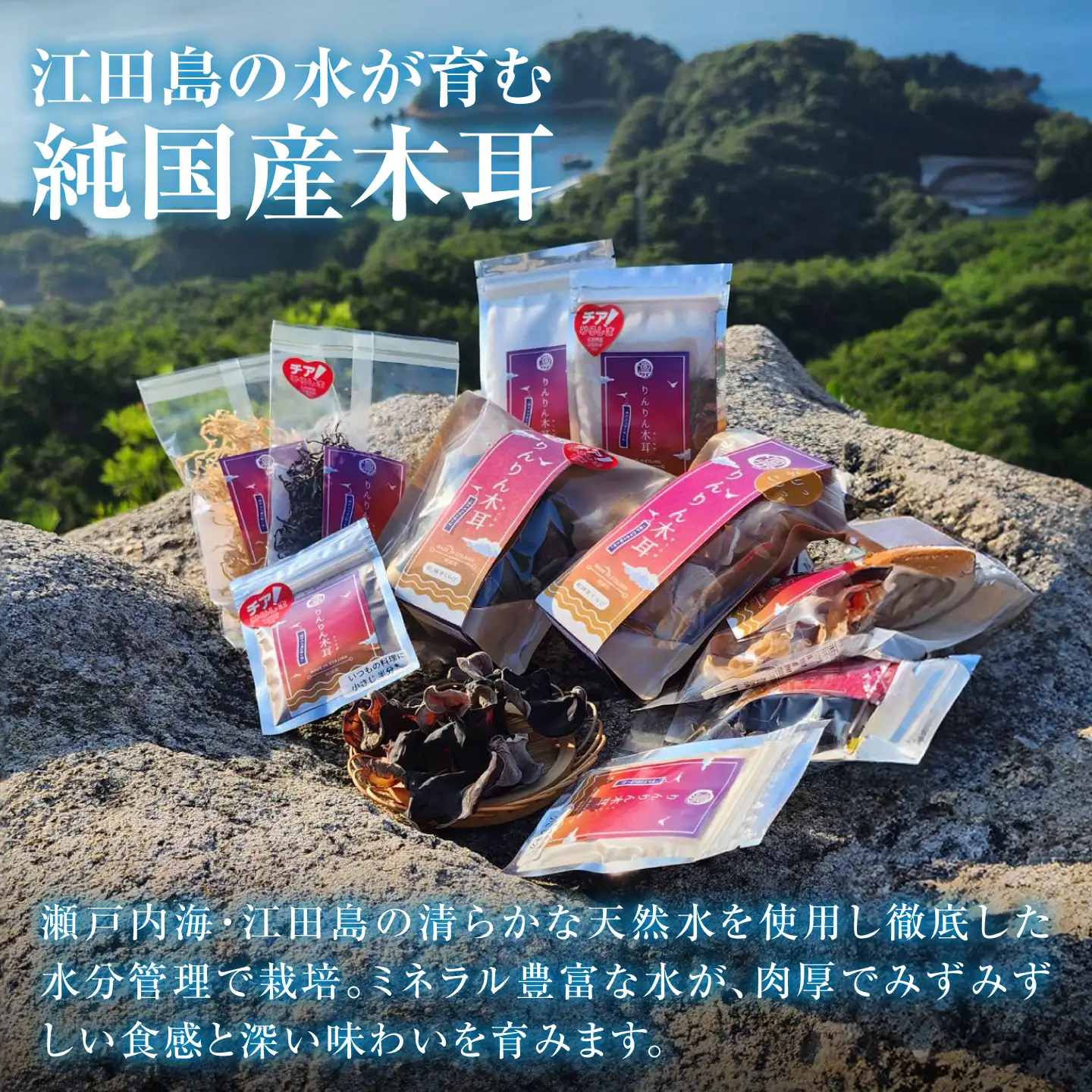 【定期便2ヶ月】【希少な白きくらげの旨みを手軽に】白い乾燥きくらげ（パウダー）(40g×3袋） 1セット 白きくらげ 粉末 乾燥きくらげ パウダー スライス ホール 国産 詰め合わせ 食物繊維豊富 料理用 スープ 食材 江田島産 広島県[XCB023]