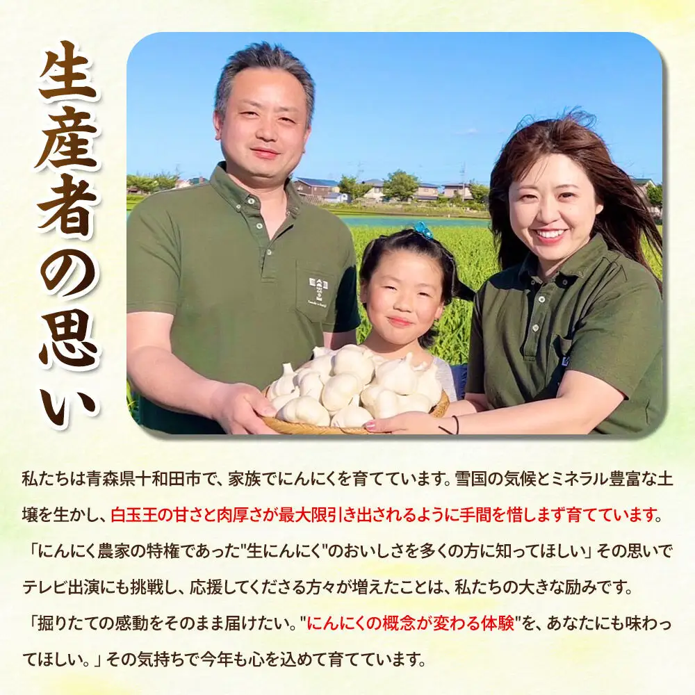 【2027年収穫分】先行受付【テレビ紹介】青森 幻の生にんにく10玉（農家直送・収穫期だけの限定品） 青森にんにくファーム