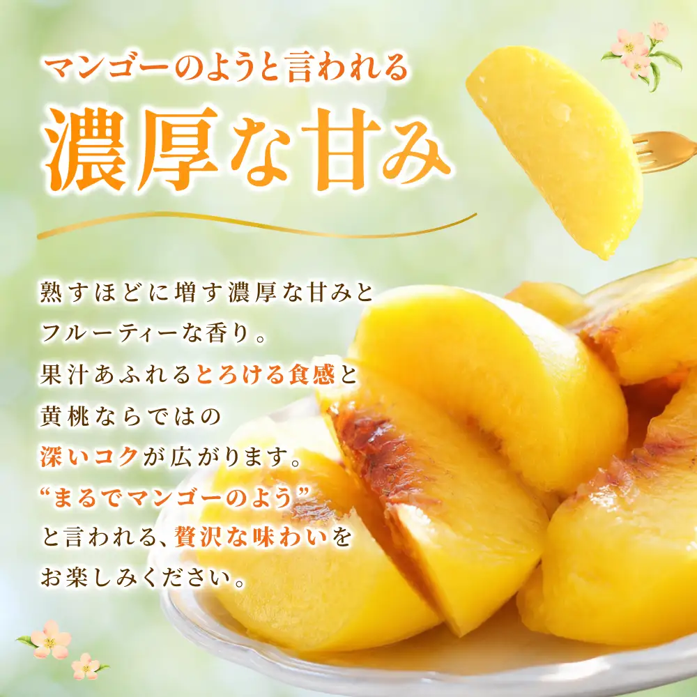 桃 岡山県産黄金桃 化粧箱入り2kg 【hnds009】