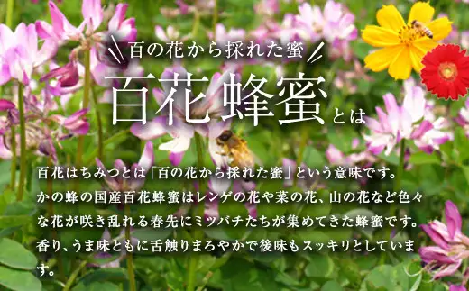 国産 純粋はちみつ 然の極み 1kg（500g×2本）セット（とんがり容器）【2026年9月発送】国産 百花 蜂蜜 はちみつ ハチミツ