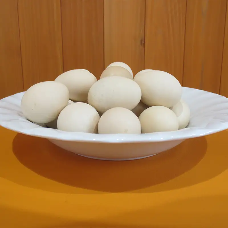 会津の大自然で育った「烏骨鶏」のたまご（12個） F4D-0132
