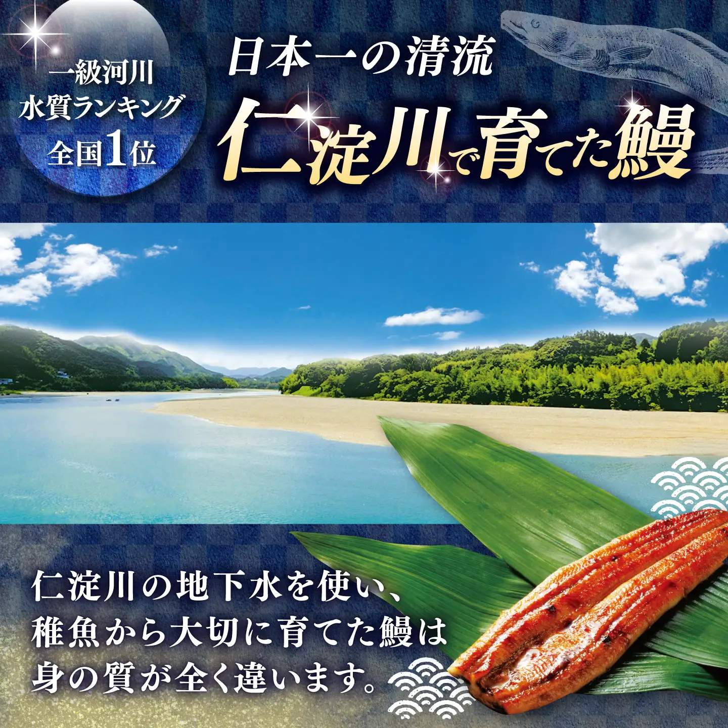 土佐料理司 三代目天の鰻蒲焼4尾セット (高知市春野町産) / 鰻 うなぎ ウナギ 蒲焼 うな重 国産 高知市 【株式会社土佐料理司】[ATAD091]