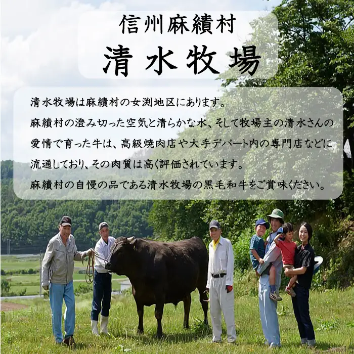 信州和牛　切り落し 1kg（500ｇ×2パック）信州プレミアム牛