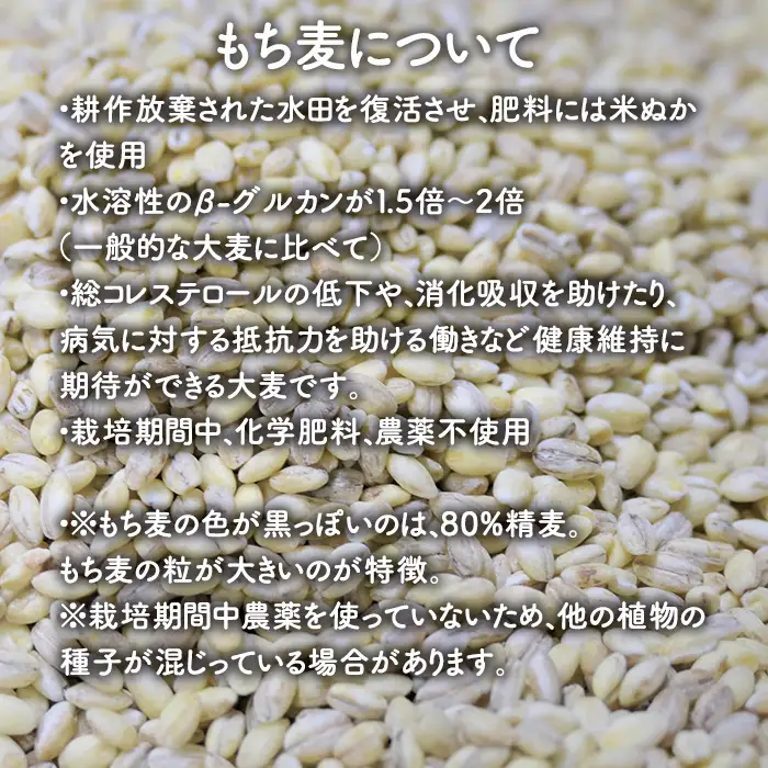 もち麦 1.5kg 長野県産 ホワイトファイバー 栽培期間中 化学肥料 農薬不使用 おいしく 健康的 キレイの素 環境にやさしい 信州匠選 750ｇ×2セット