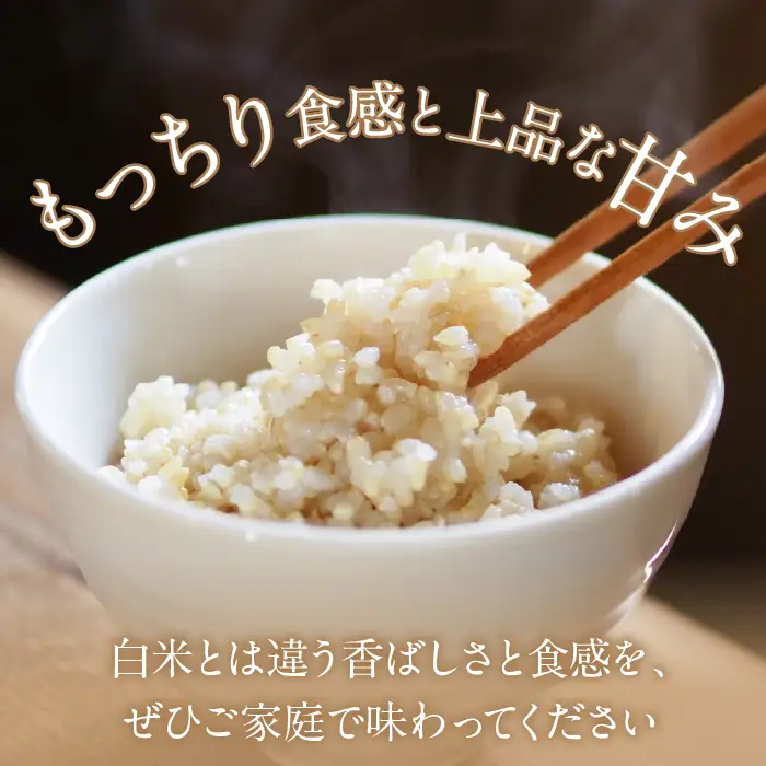 ＜2026年発送先行予約＞南アルプス市産 ヒノヒカリ(玄米) 10kg ALPAA050