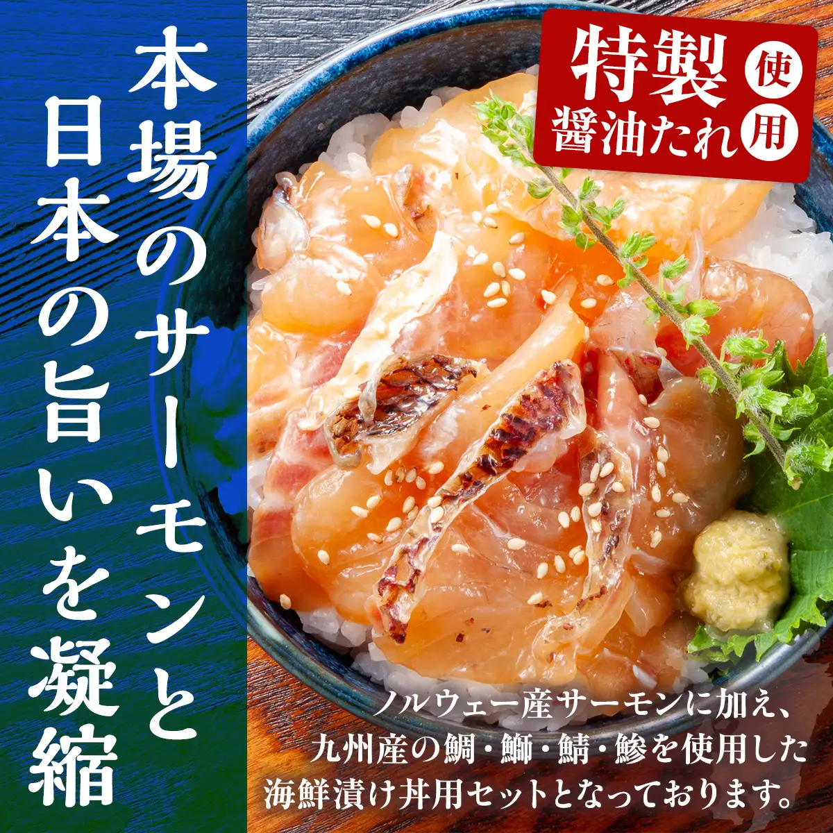 海鮮漬け丼 サーモン ブリ アジ 鯛 サバ（5種6パック） AE023