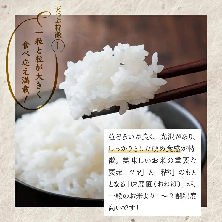 【令和8年産】【全3回定期便】米　国見町産　天のつぶ 5kg（5kg×1袋） 3回定期便 ※2026年10月～発送