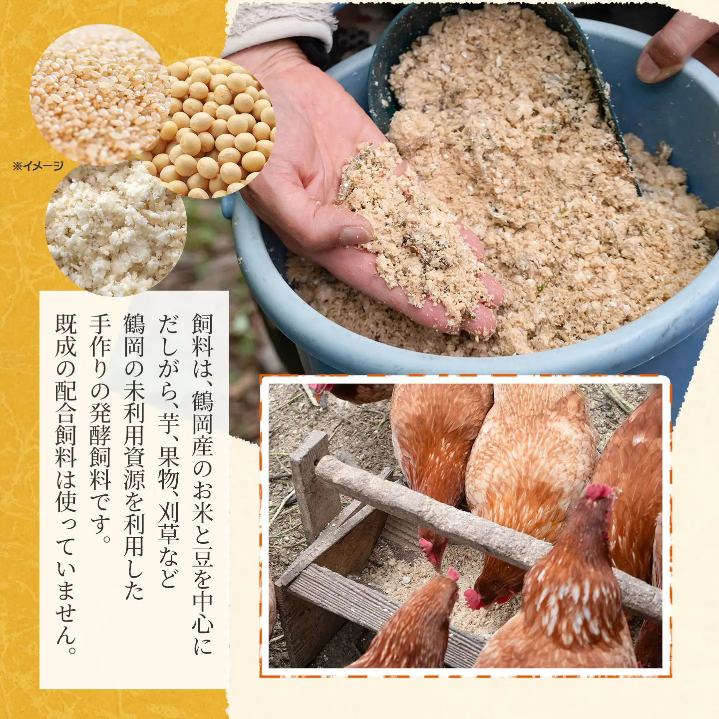 純国産鶏あずさの平飼い卵 40個 (フリーサイズ) 山形県鶴岡市 おーぼ | 卵 たまご タマゴ 玉子 鶏卵 平飼い卵 自然卵 生卵 卵かけご飯 たまごかけご飯 卵かけごはん たまごかけご飯 卵料理 甘み 国産 東北 山形 鶴岡市産 冷蔵 送料無料