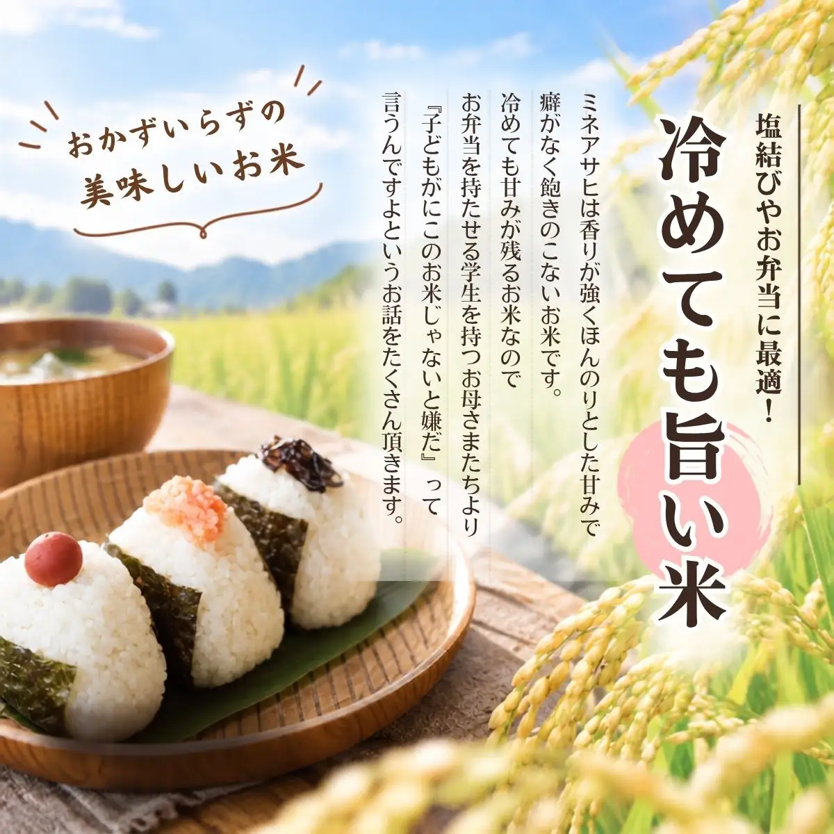 【先行予約】【令和8年産】新米 産地限定山間地ギフト 希少米峰旭 （ ミネアサヒ ） 5kg×2 計10kg 