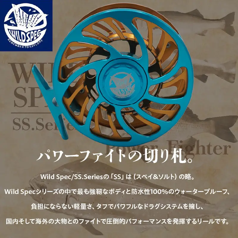 Wild Spec/SS.Series シアンブルー×ゴールド  【9.10.11サイズ】_81-441