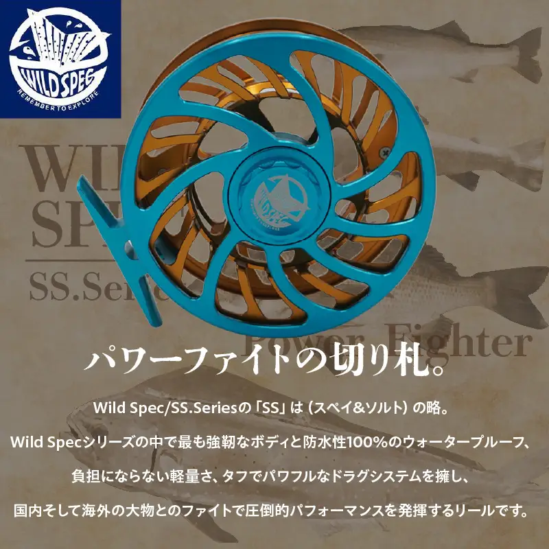 Wild Spec/SS.Series シアンブルー×ゴールド  【10.11.12サイズ】_81-442