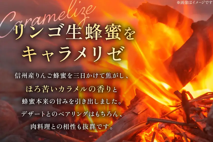 ミード 蜂蜜酒 RING OF FIRE 375ml 1本