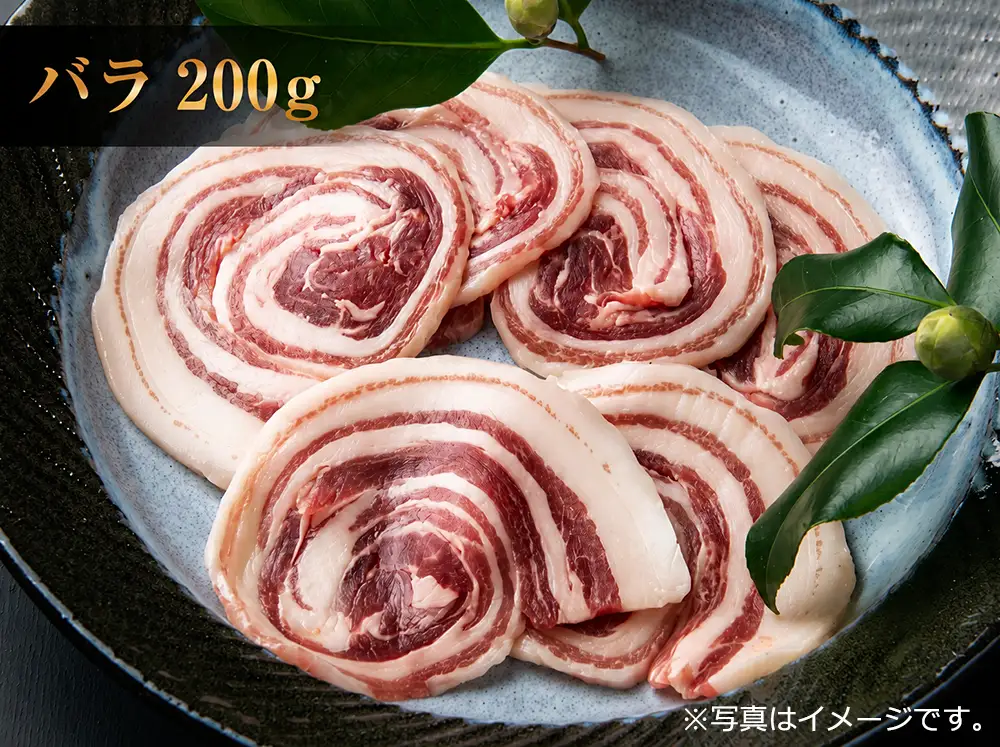 GB-26　大山ジビエイノシシ肉バラエティ定期便（3回コース）