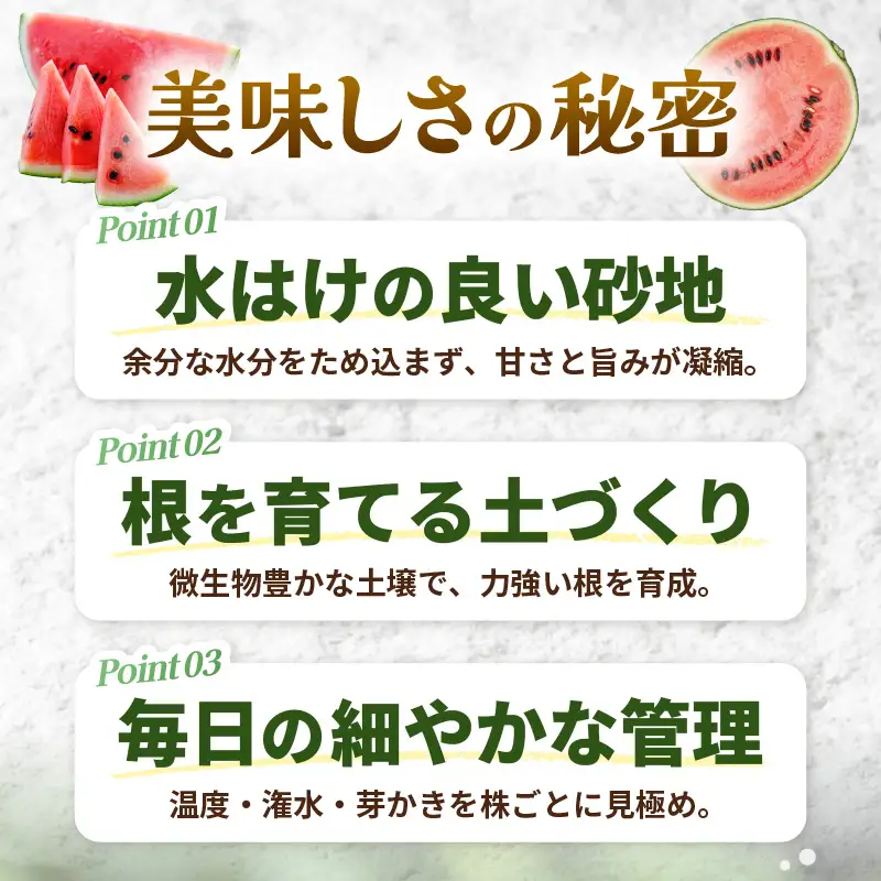 先行予約  大玉スイカ (赤肉) 1玉 糖度11.5度以上 2026年7月上旬以降順次発送予定 [A-22103]