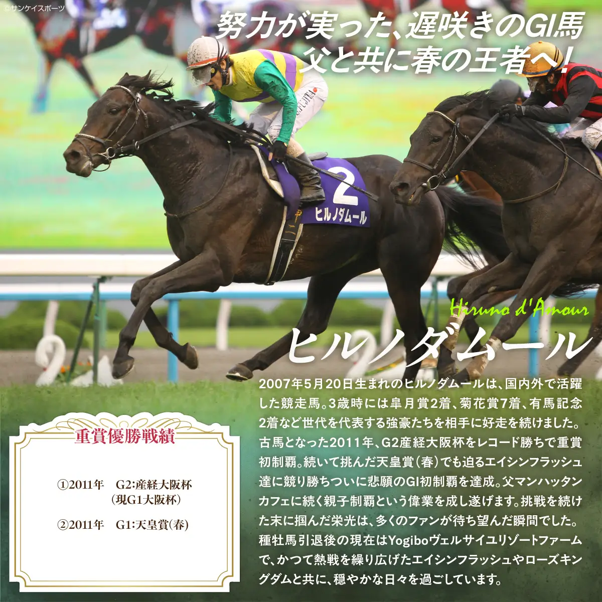 【ヒルノダムール】クリアファイル 写真5枚入り BRTV303