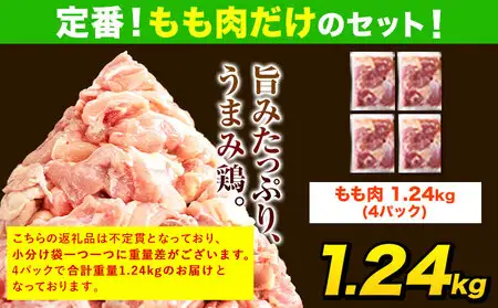 【ふるなび限定】【12ヶ月定期便】 鶏肉 もも肉 1.24kg