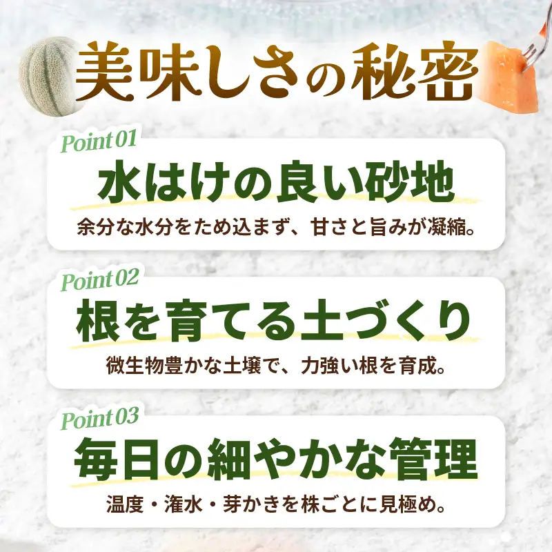 先行予約  マルセイユメロン (赤肉) 2玉 糖度15度以上 2027年6月上旬以降順次発送予定 [B-22101]