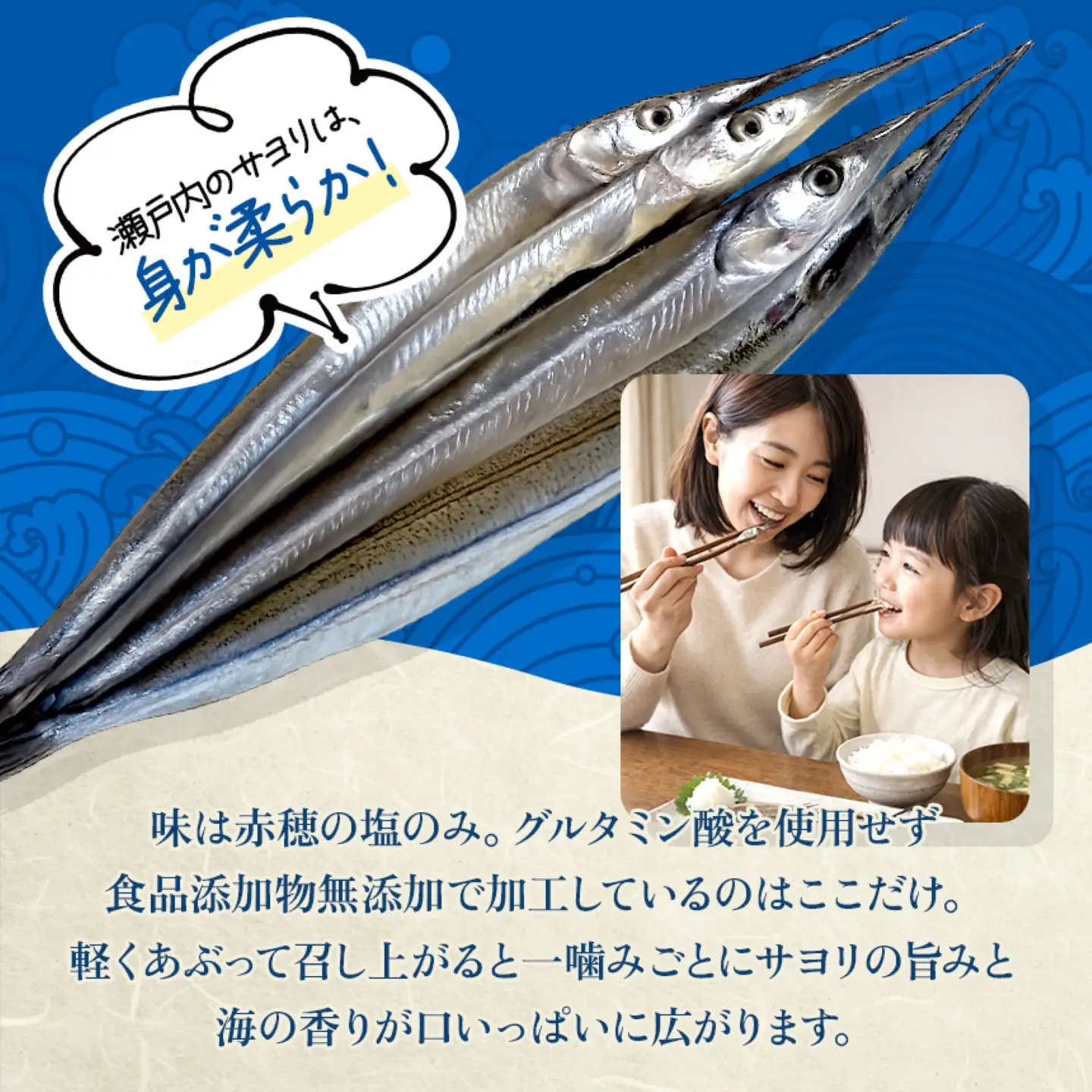 【 定期 】 サヨリ の 丸干し 400g と 開き 50ｇ（赤穂の塩の 使用） 3 回 発送 毎月 お届け便